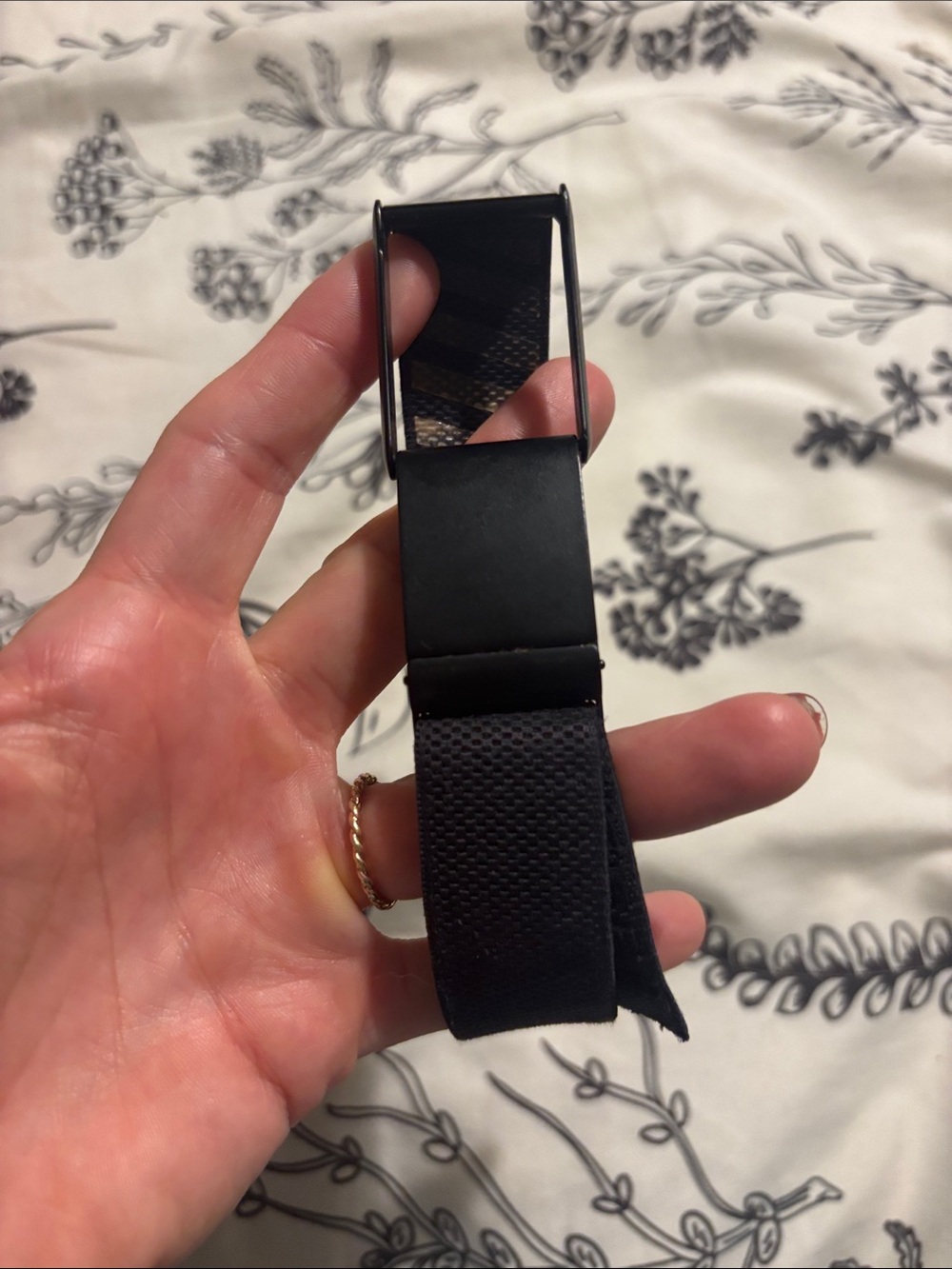 Whoop 4.0 Elastic Webbing Belt with Matte Buckle